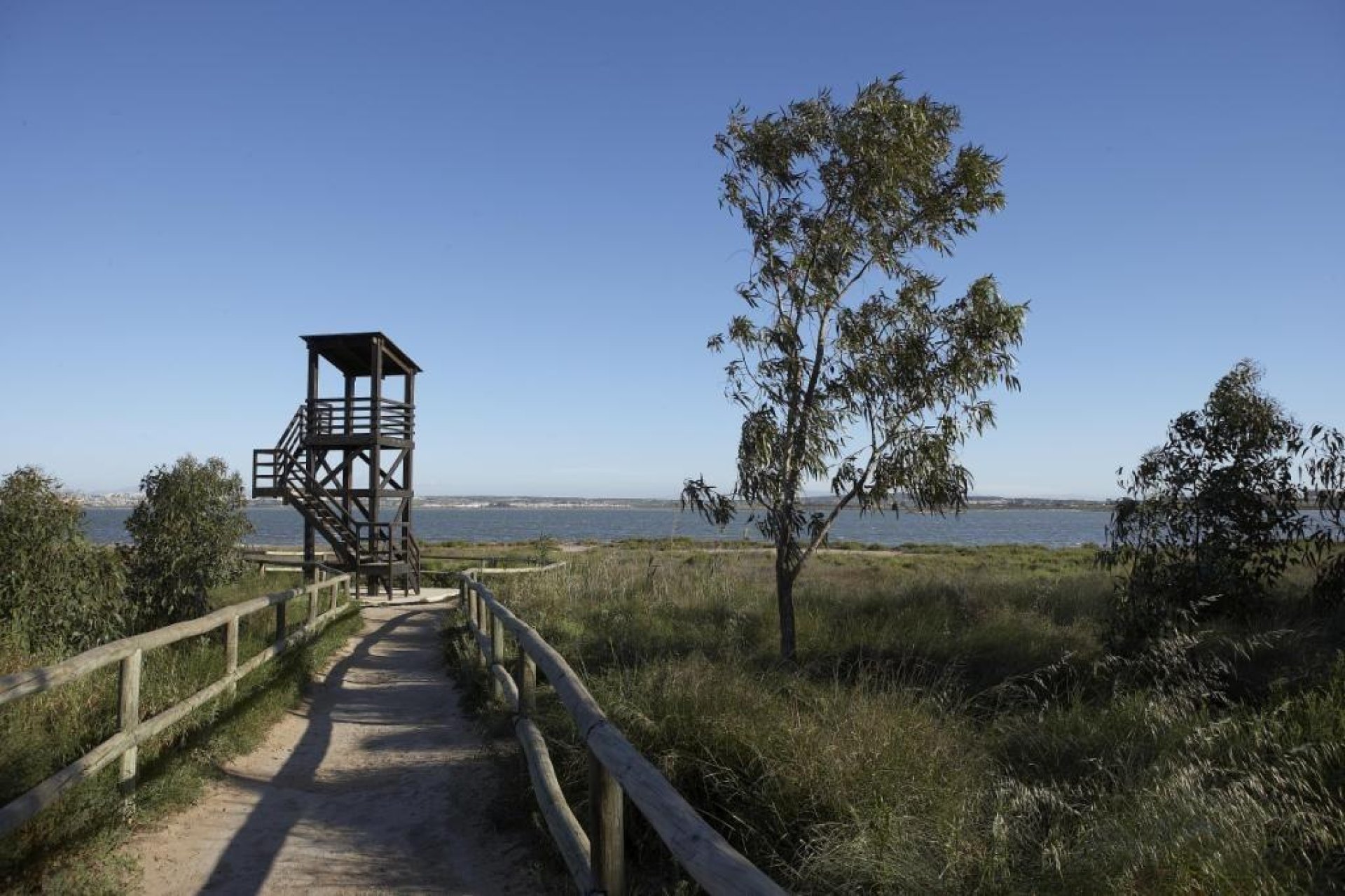 Neue Gebäude - Bungalow -
Torrevieja - Aguas Nuevas