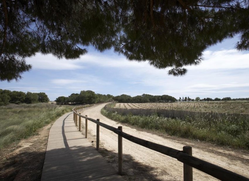 Neue Gebäude - Bungalow -
Torrevieja - Aguas Nuevas