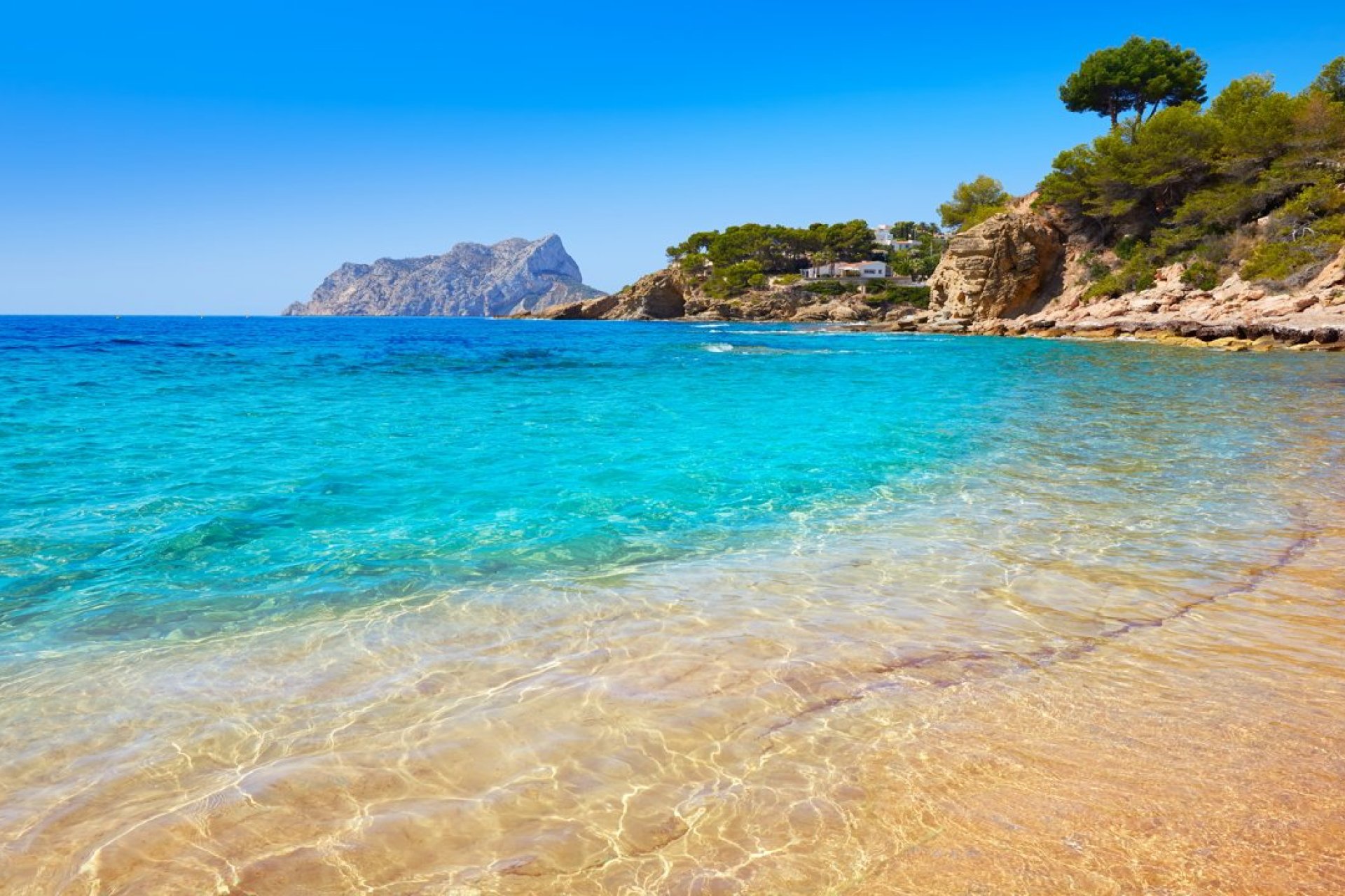 Neue Gebäude - Erdgeschoss -
Algorfa