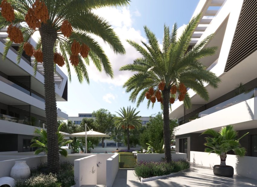 Neue Gebäude - Erdgeschoss -
Sant Joan d'Alacant