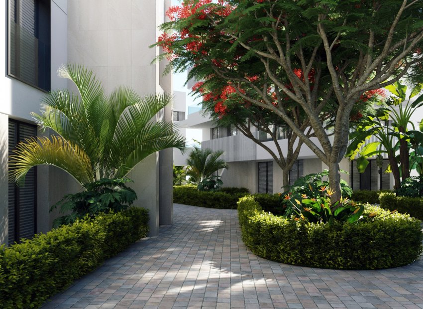 Neue Gebäude - Erdgeschoss -
Torre Pacheco - Santa Rosalía