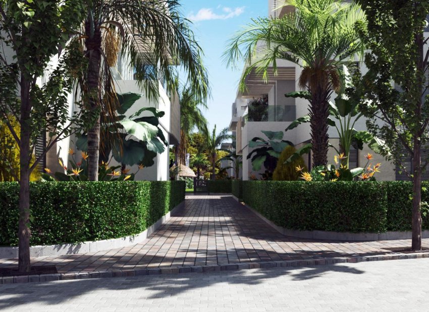 Neue Gebäude - Erdgeschoss -
Torre Pacheco - Santa Rosalía