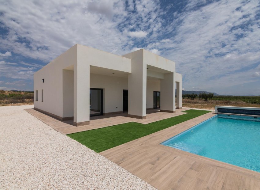 Neue Gebäude - Freistehend / Villa -
Pinoso - Lel
