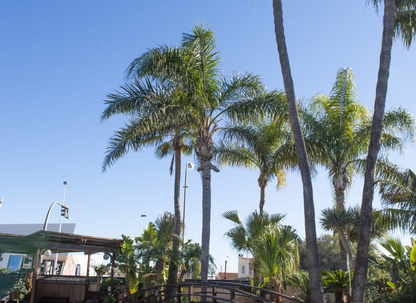 Neue Gebäude - Freistehend / Villa -
San Pedro del Pinatar - San Pedro Del Pinatar