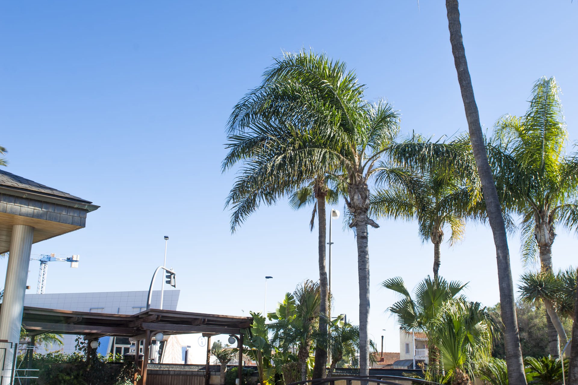 Neue Gebäude - Freistehend / Villa -
San Pedro del Pinatar - San Pedro Del Pinatar