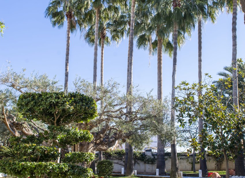 Neue Gebäude - Freistehend / Villa -
San Pedro del Pinatar - San Pedro Del Pinatar