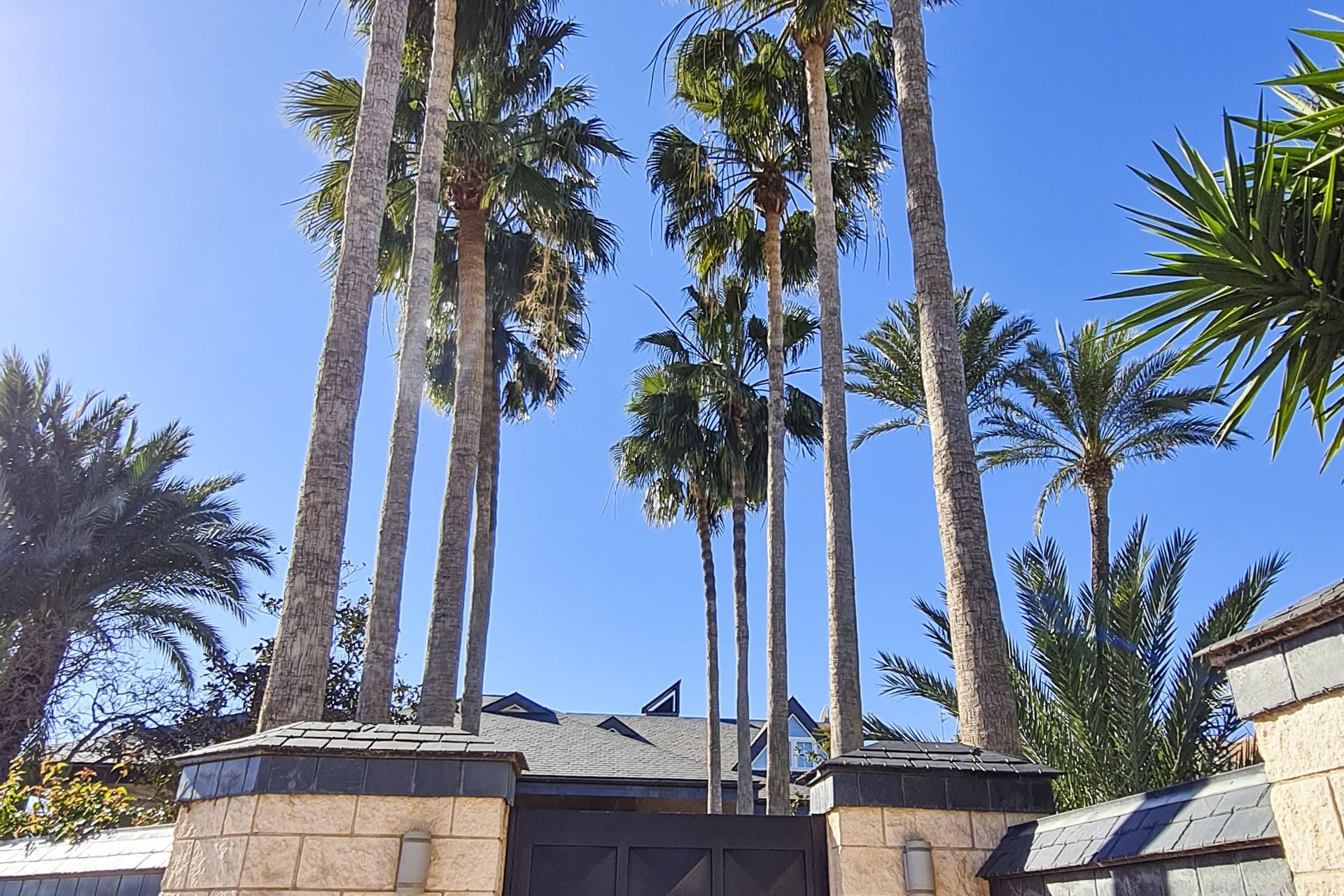 Neue Gebäude - Freistehend / Villa -
San Pedro del Pinatar - San Pedro Del Pinatar