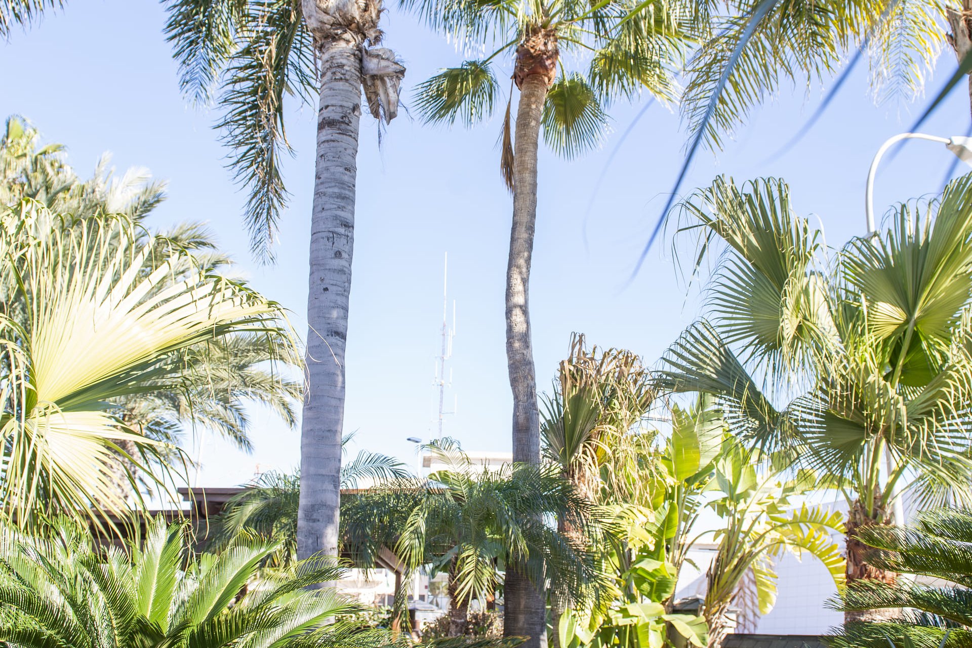 Neue Gebäude - Freistehend / Villa -
San Pedro del Pinatar - San Pedro Del Pinatar