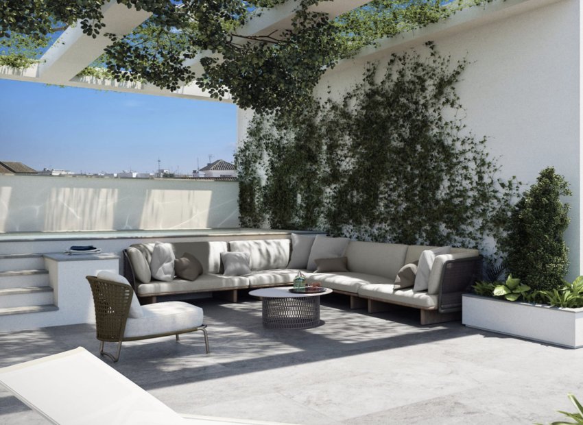 Neue Gebäude - Penthouse -
Torrevieja