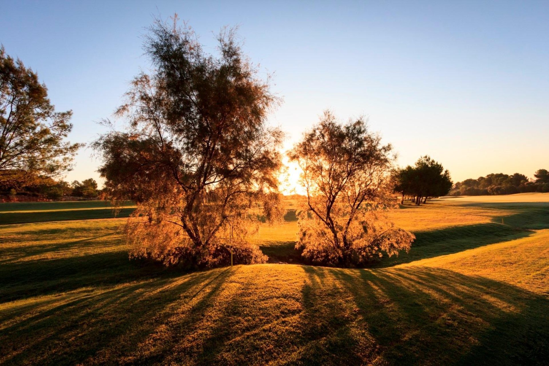 Neue Gebäude - Villa -
Pilar de la Horadada - Lo Romero Golf