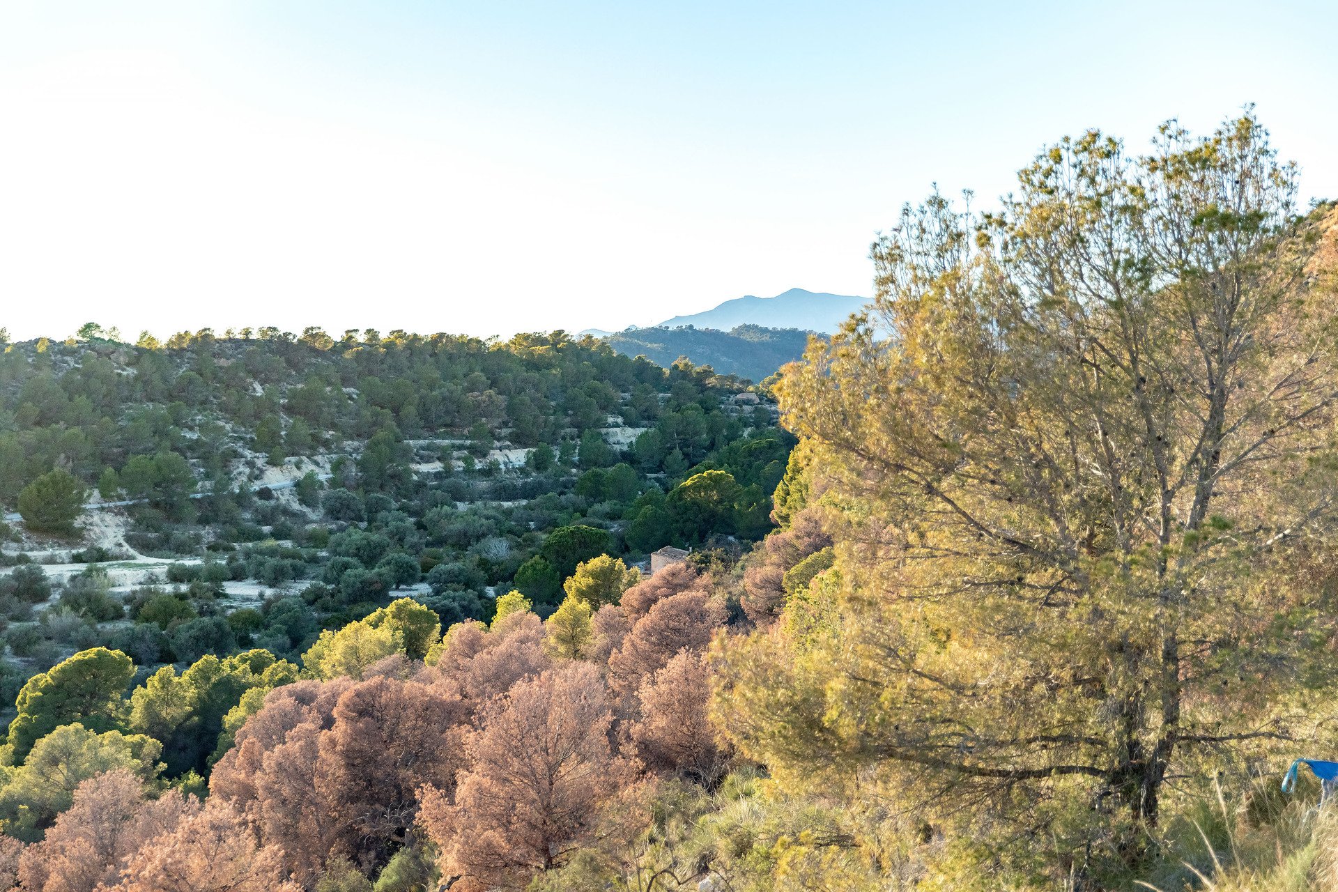 New Build - Apartment -
Finestrat