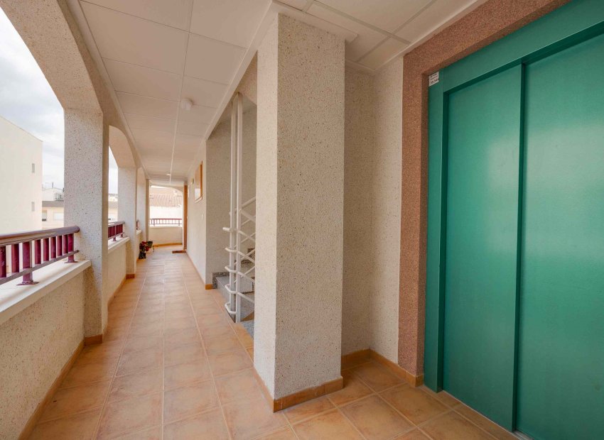 New Build - Apartment -
San Fulgencio