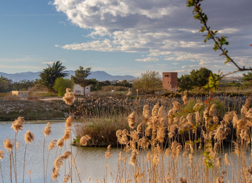 New Build - Bungalow -
Guardamar del Segura - Guardamar Del Segura