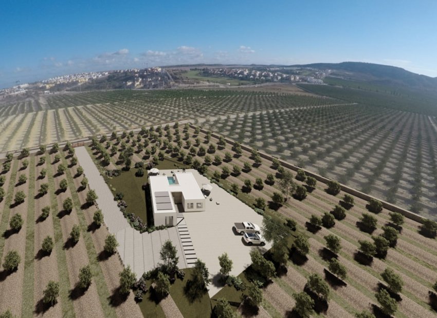 New Build - Detached House / Villa -
Algorfa