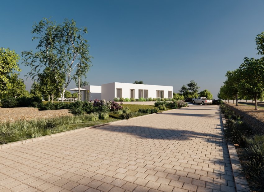 New Build - Detached House / Villa -
Algorfa