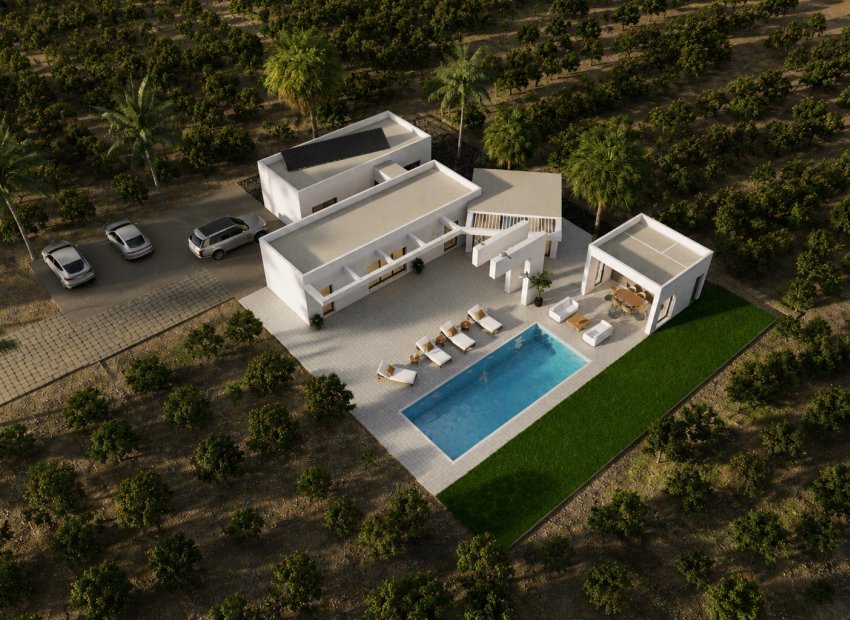New Build - Detached House / Villa -
Benejúzar