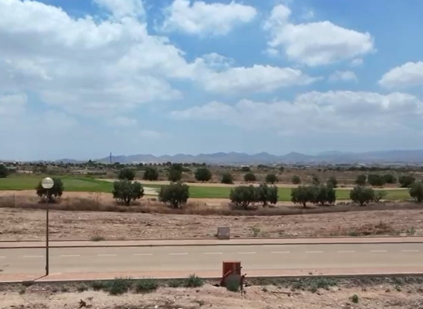 New Build - Detached House / Villa -
Fuente Álamo - Fuente Alamo