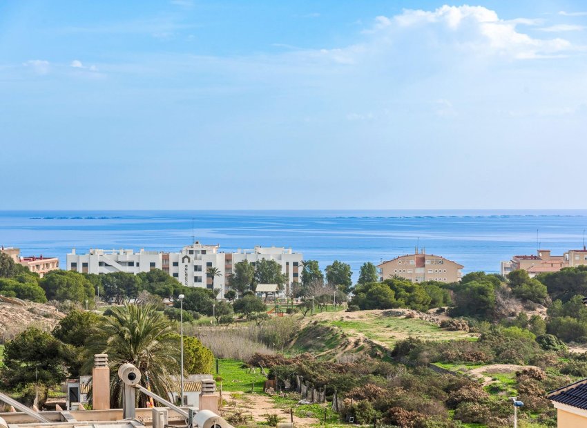 New Build - Detached House / Villa -
Guardamar del Segura - Els Secans