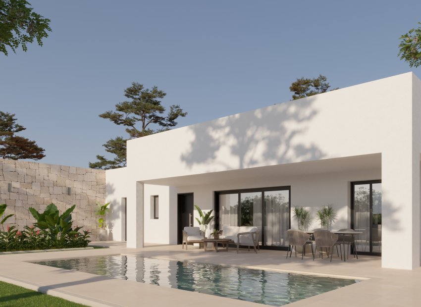 New Build - Detached House / Villa -
La Romana