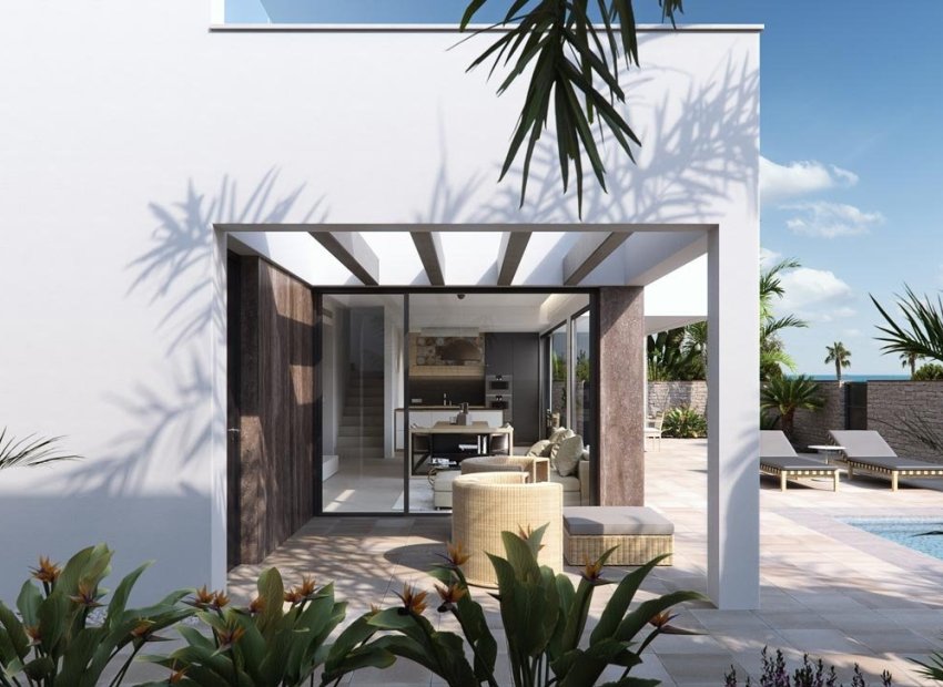 New Build - Detached House / Villa -
Pilar de la Horadada - Las Higuericas