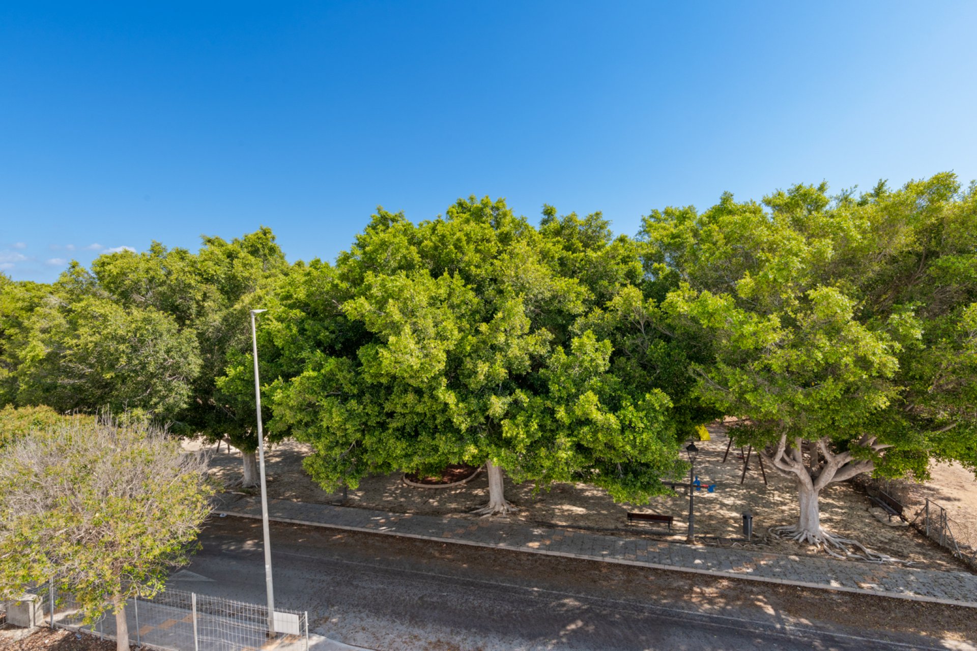 New Build - Detached House / Villa -
Pilar de la Horadada