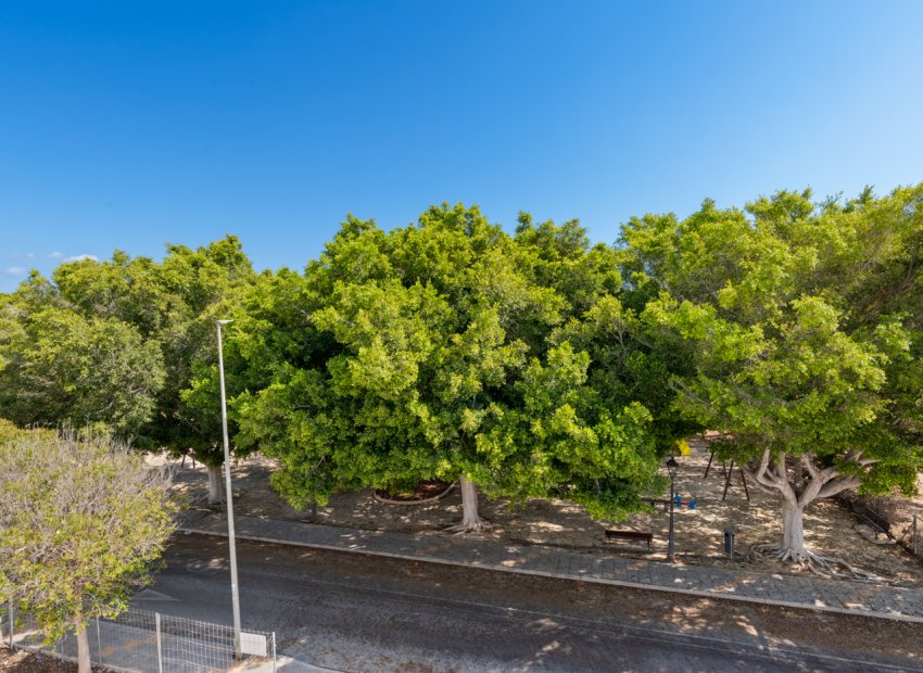 New Build - Detached House / Villa -
Pilar de la Horadada
