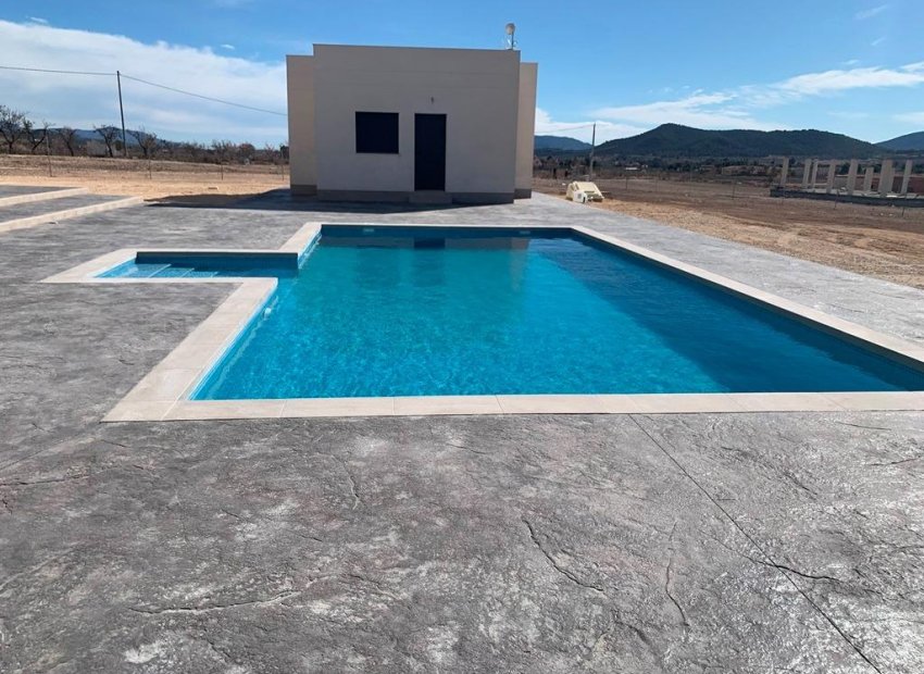 New Build - Detached House / Villa -
Pinoso - Camino Del Prado