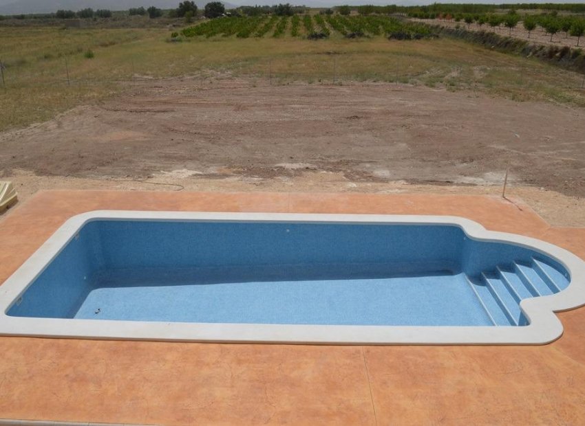 New Build - Detached House / Villa -
Pinoso - Camino Del Prado