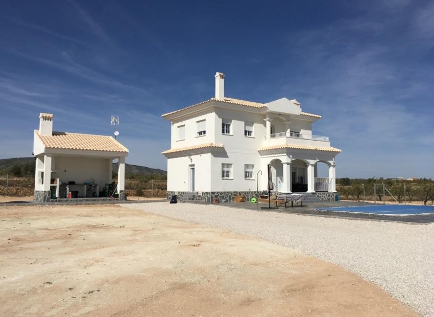 New Build - Detached House / Villa -
Pinoso - Camino Del Prado