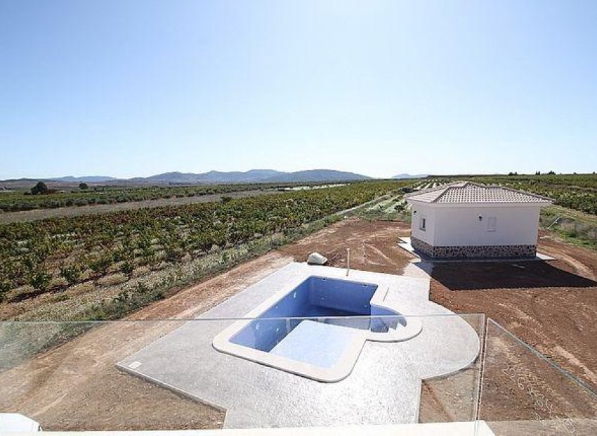 New Build - Detached House / Villa -
Pinoso - Camino Del Prado