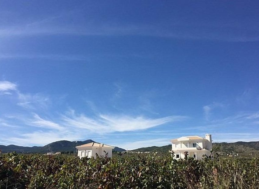 New Build - Detached House / Villa -
Pinoso - Camino Del Prado