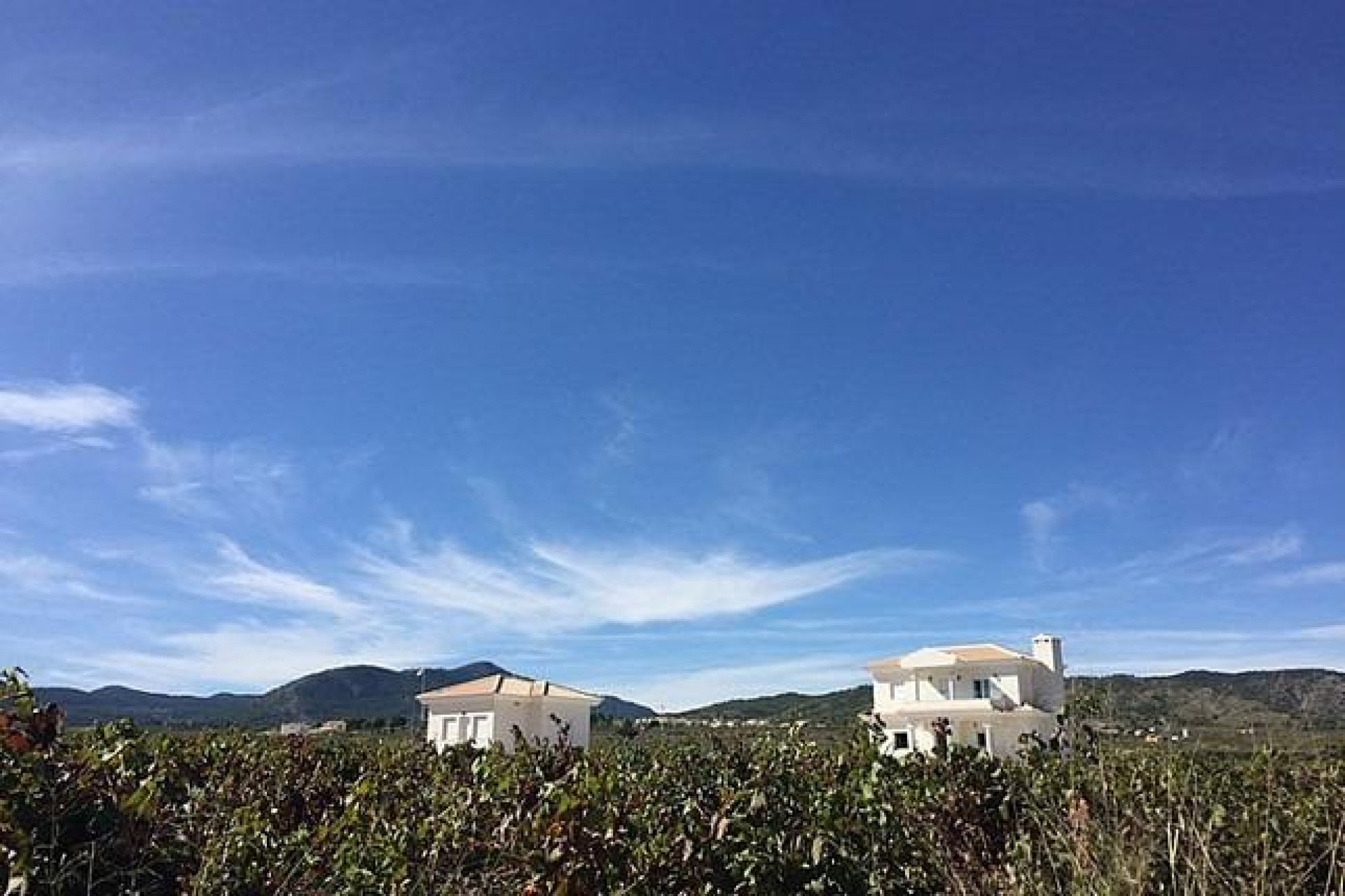 New Build - Detached House / Villa -
Pinoso - Camino Del Prado