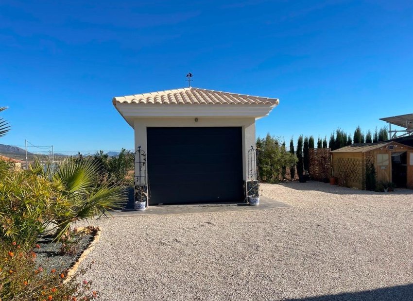 New Build - Detached House / Villa -
Pinoso - Camino Del Prado