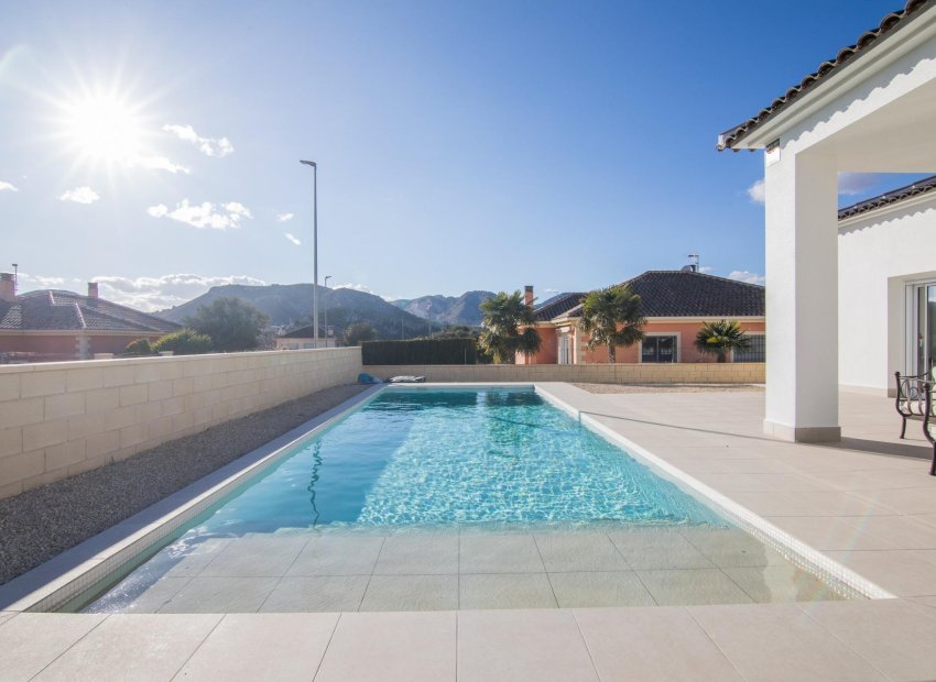 New Build - Detached House / Villa -
Pinoso - Lel