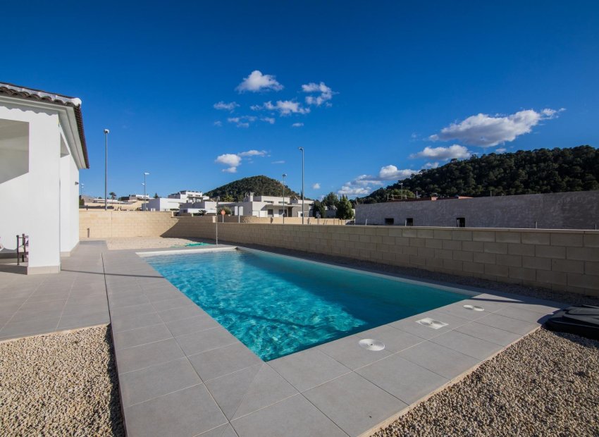 New Build - Detached House / Villa -
Pinoso - Lel