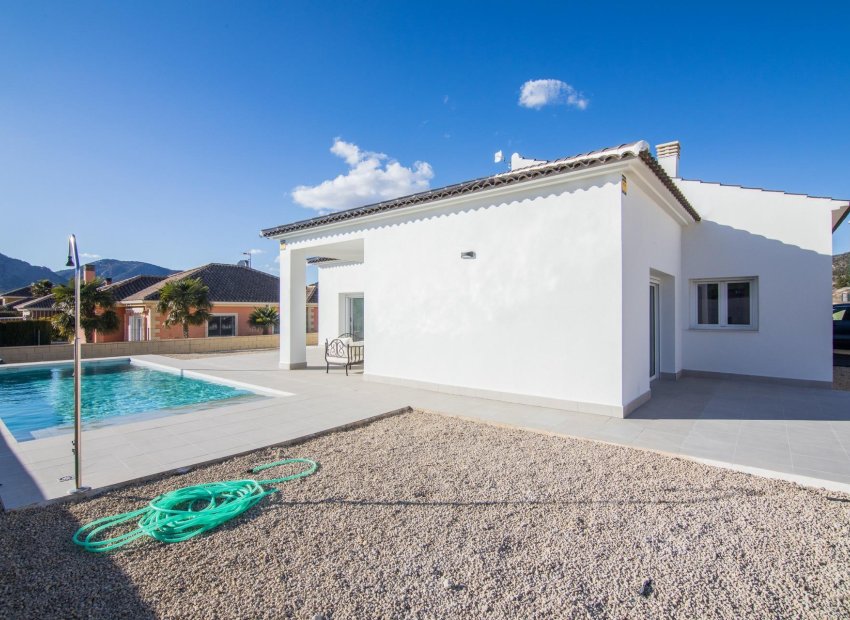 New Build - Detached House / Villa -
Pinoso - Lel
