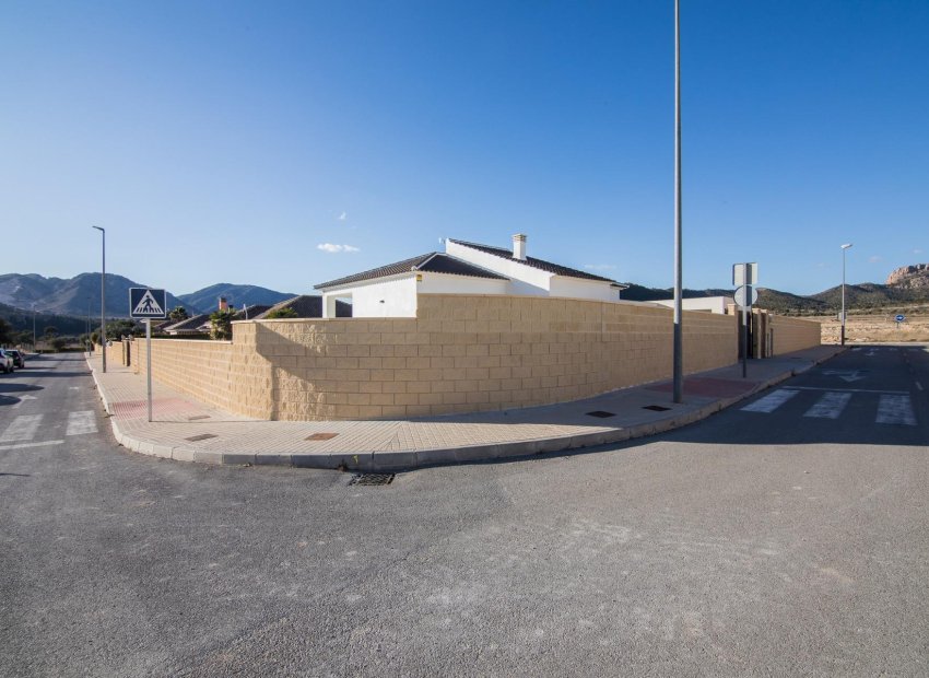 New Build - Detached House / Villa -
Pinoso - Lel