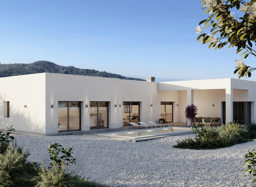 New Build - Detached House / Villa -
Pinoso - Lel