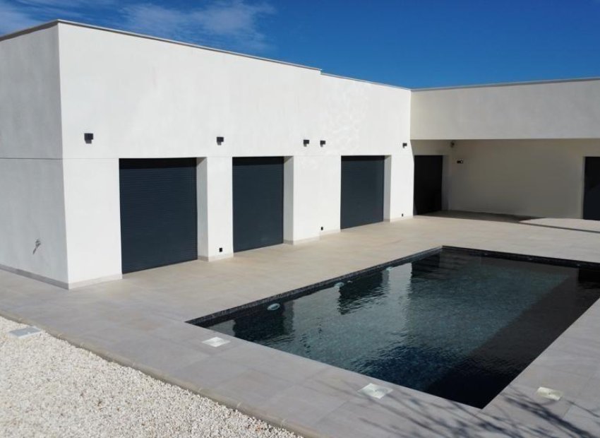 New Build - Detached House / Villa -
Pinoso - Lel