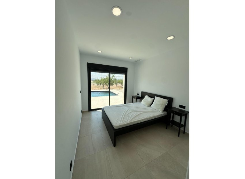 New Build - Detached House / Villa -
Pinoso - Lel