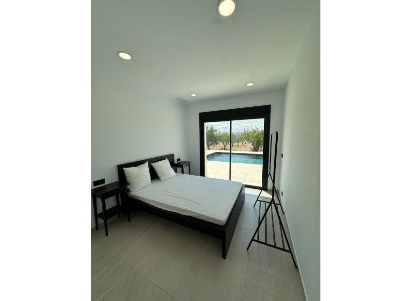 New Build - Detached House / Villa -
Pinoso - Lel