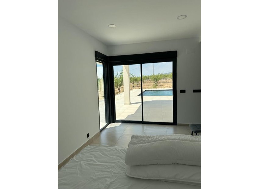New Build - Detached House / Villa -
Pinoso - Lel