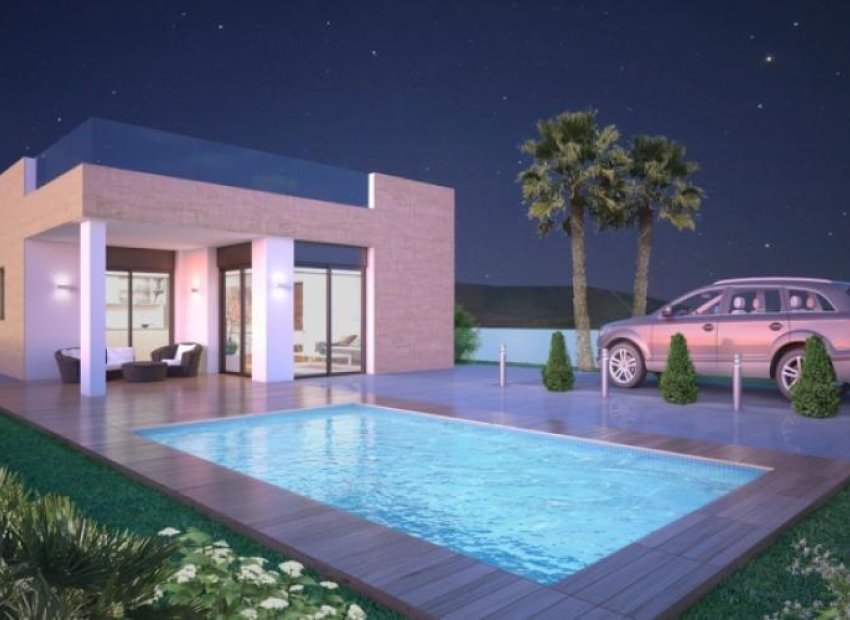New Build - Detached House / Villa -
Pinoso - Lel