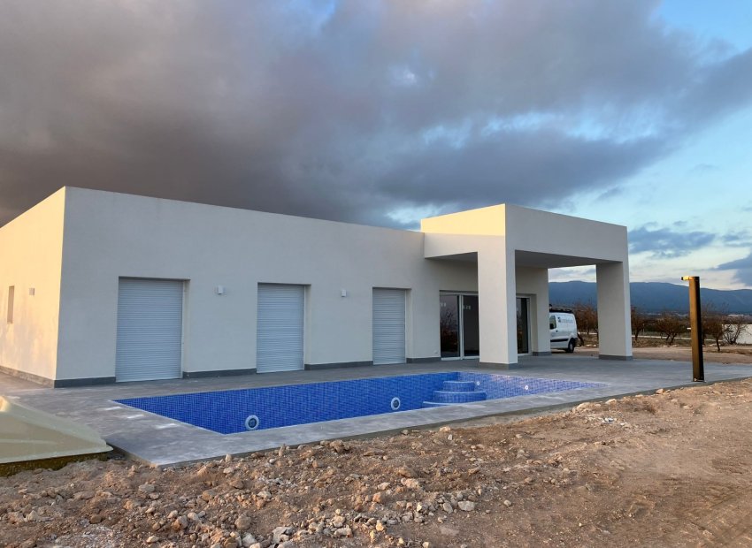 New Build - Detached House / Villa -
Pinoso