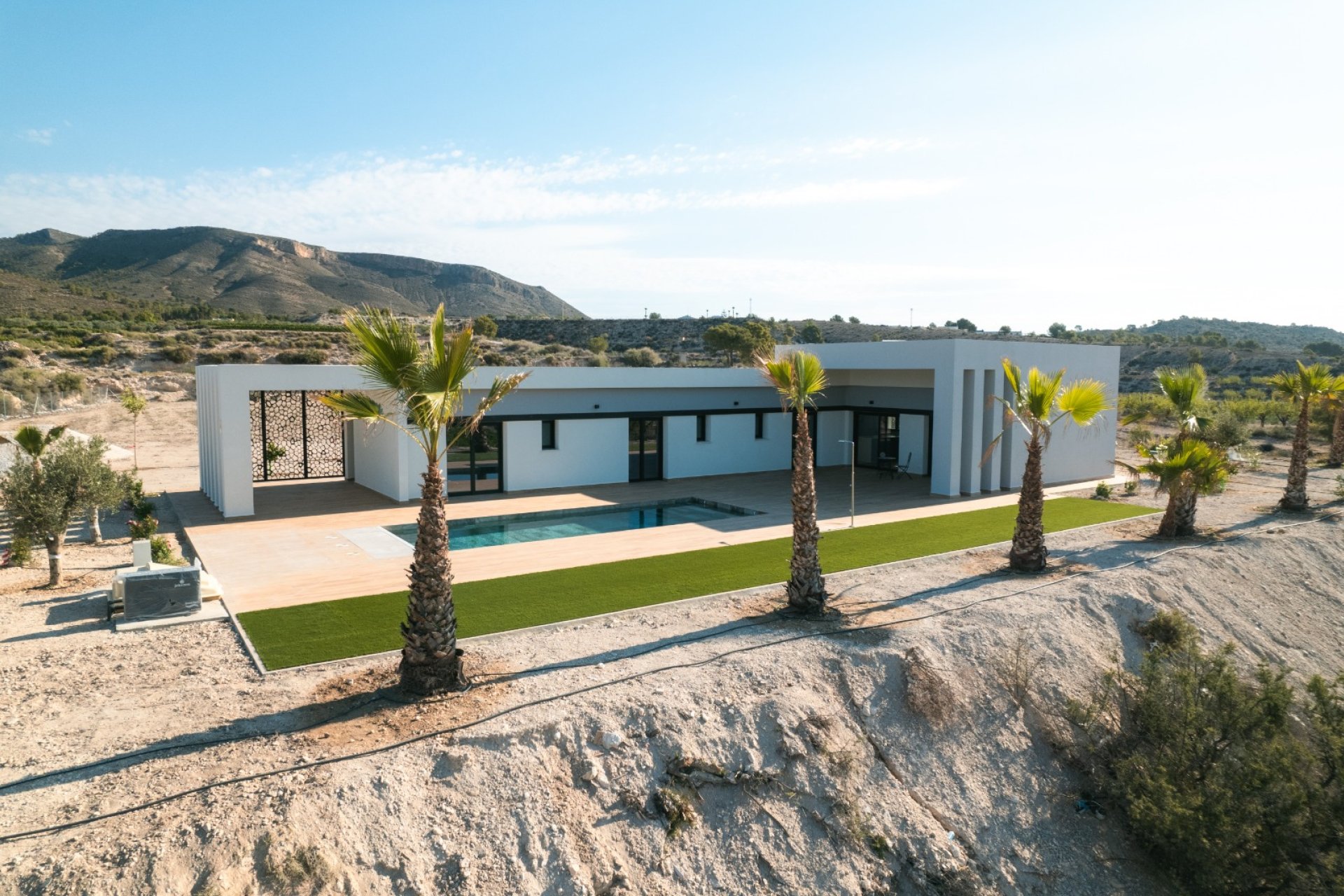 New Build - Detached House / Villa -
Pinoso