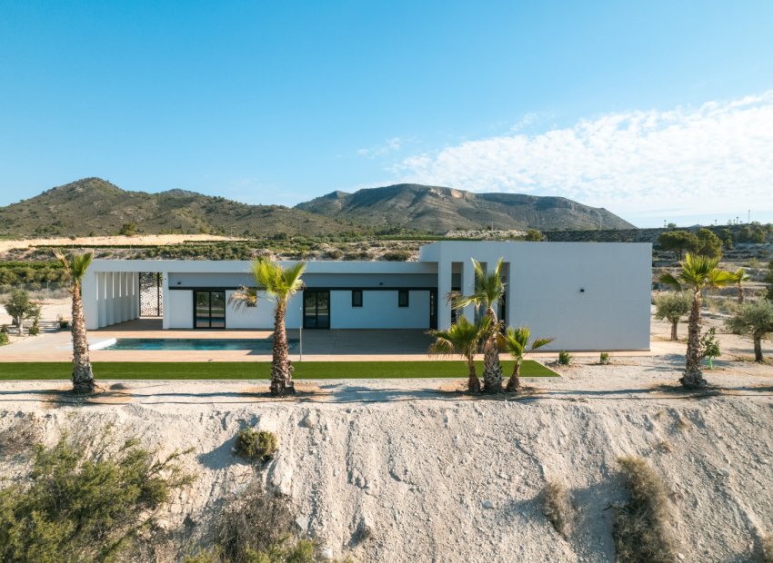 New Build - Detached House / Villa -
Pinoso