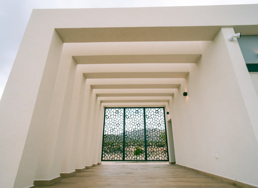 New Build - Detached House / Villa -
Pinoso