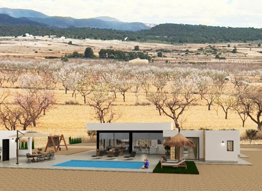 New Build - Detached House / Villa -
Pinoso