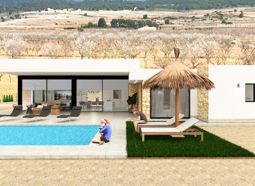 New Build - Detached House / Villa -
Pinoso