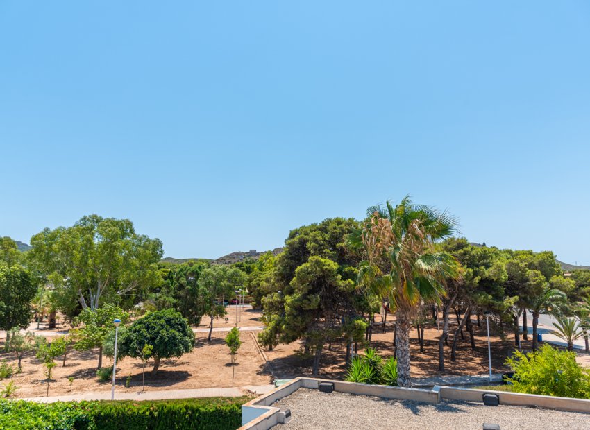 New Build - Detached House / Villa -
Playa Paraiso